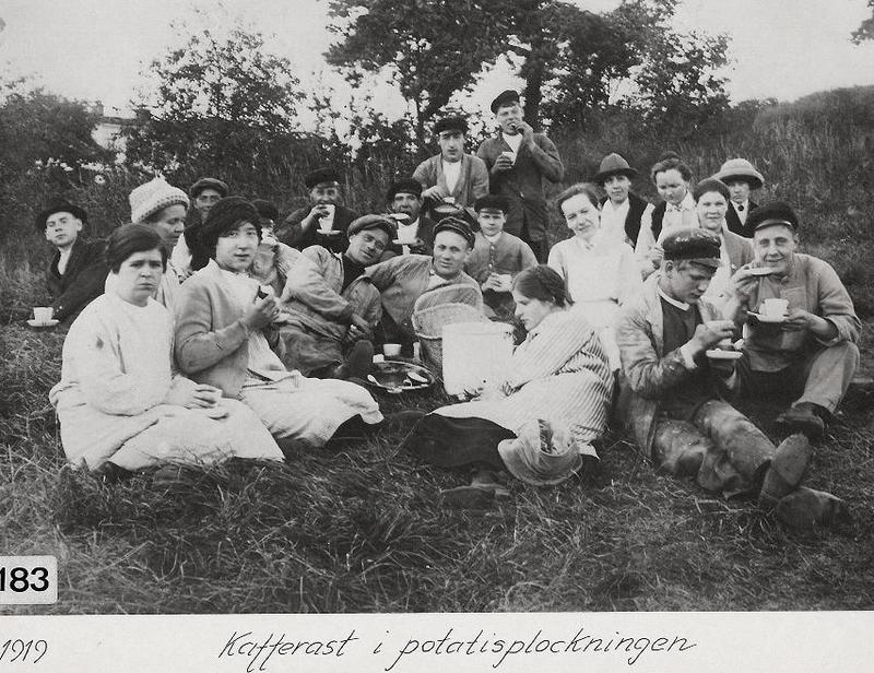Kafferast i potatisplockningen 1919.