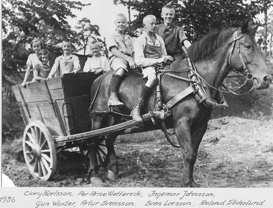 Utflykt med häst och vagn 1936.