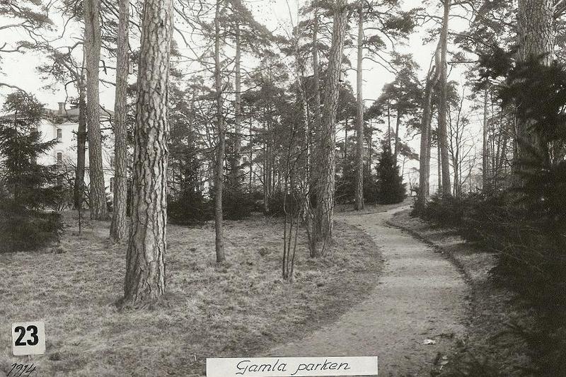 Gamla parken 1914.